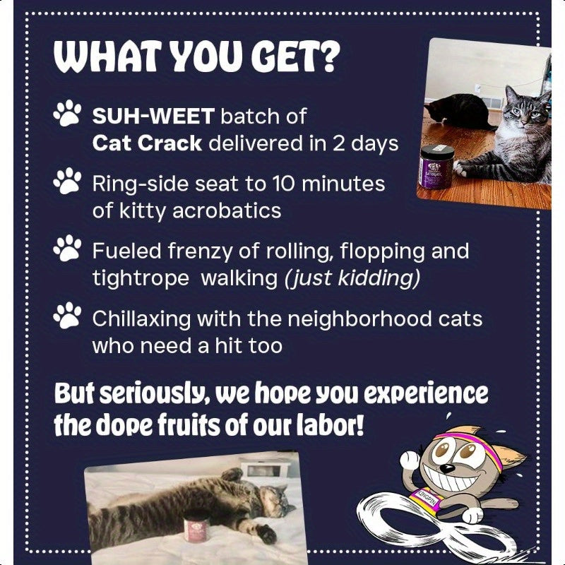 Catnip North American Made and 100% Natural Safe